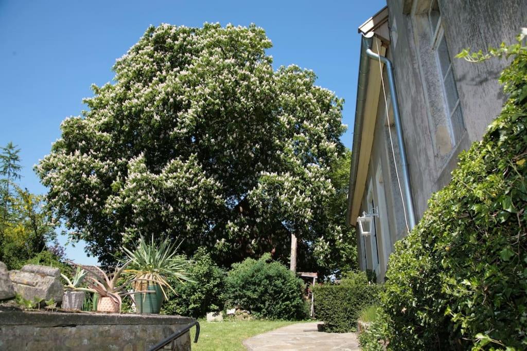 شقة Haus Keppelborg: Zi Elisabeth Mit Burgmauerblick Heek المظهر الخارجي الصورة
